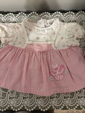 Vintage Sesame Street Pink Cookie Monster Gingham Baby Dress with Floral Top